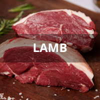 lamb